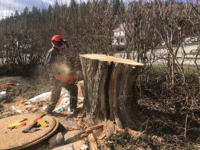 Tree removal and site clearing, Central Okanagan