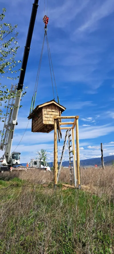Crane lifting the bat condo from the trailer at Penticton Channel Parkway