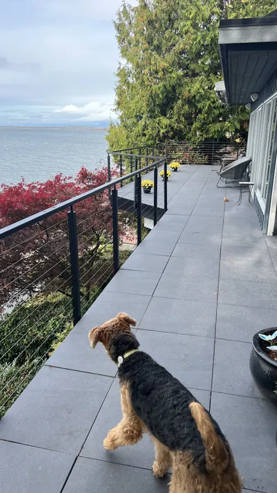 Top-level lakeside deck with frameless infinity glass railing, Kelowna